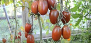 Description of the variety of tomato Plum Black, its characteristics