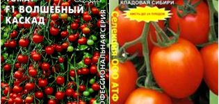 Kenmerken en beschrijving van de tomatenvariëteit Cascade, de opbrengst