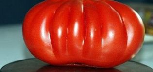 Eigenschaften und Beschreibung der Tomatensorte Einhundert Pfund, deren Ertrag