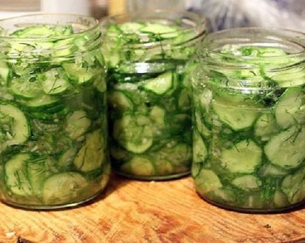 Kış için maydanoz ve sarımsaklı salatalık yapmak için 4 adım adım tarif