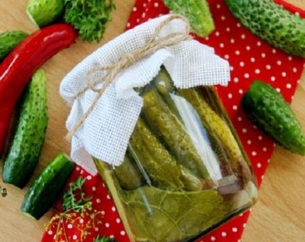 Een stapsgewijs recept voor het inmaken van komkommers in Volgograd-stijl voor de winter- en opslagomstandigheden