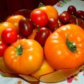 Caratteristiche e descrizione della varietà di pomodoro gigante arancione, la sua resa