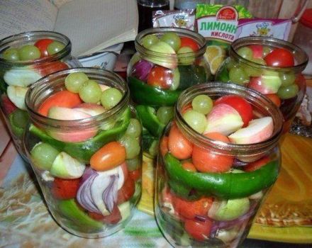 13 geriausių skanių agurkų ir pomidorų žiemai receptų