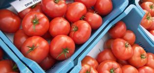 Egenskaber og beskrivelse af tomatkødet, hvilken slags sort, dets udbytte