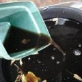 Instruccions d’ús d’hidrohumat, oxidat de torba per cogombres