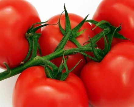 Subarctic domates çeşidinin tanımı, özellikleri ve yetiştiriciliği