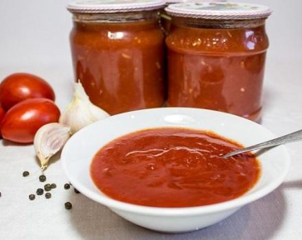 TOP 11 ātras receptes tomātu kečupam ziemai, kuru laizīsit pirkstus
