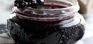 وصفة بسيطة لتحضير الكشمش الأسود لفصل الشتاء بدون سكر في عصيره الخاص