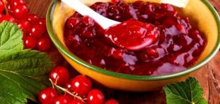 3 najlepšie recepty na džem z červeného ríbezle Pyatiminutka na zimu