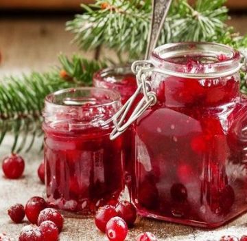 4 best recipes for making cranberry jam for the winter