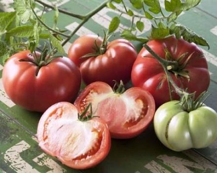Marmando pomidorų veislės savybės ir aprašymas, derlius