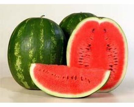 Beschrijving en kenmerken van de Karistan-watermeloenvariëteit, opbrengst en teelt