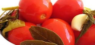 Kiek laiko gali trukti marinuoti pomidorai ir kaip nustatyti pasirengimą