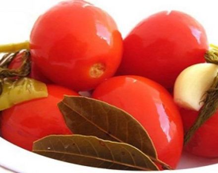 Cik ilgi var marinēti tomāti un kā noteikt gatavību