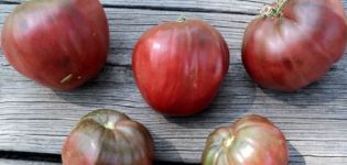 Beskrivning av tomatsorten Black Heart of Breda, funktioner för odling och vård