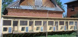 Reguli pentru păstrarea iepurilor într-un hambar și cum să construiți o cameră cu propriile mâini