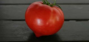 Descripción de la variedad de tomate Perun f1, características de cultivo y cuidado.