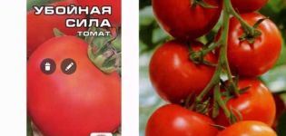 Description of the tomato variety Destructive force, its characteristics and yield