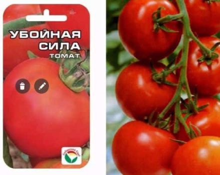Opis sorte rajčice Razarajuća snaga, njegove karakteristike i prinos