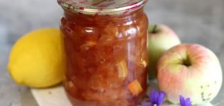 6 best recipes for making apple and lemon jam for the winter