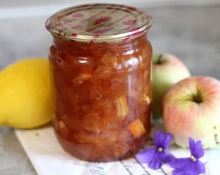 6 parasta reseptiä omena- ja sitruunahillon valmistamiseksi talveksi