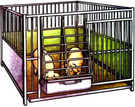 Napravite DIY upute za izradu kaveza za svinje, dimenzijama i crtežima