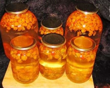 A simple recipe for making cloudberry compote for the winter