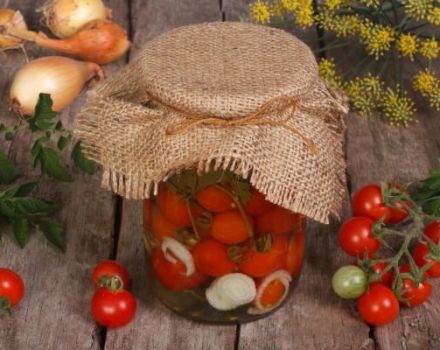 TOP 3 recetas para encurtir tomates con perejil para el invierno