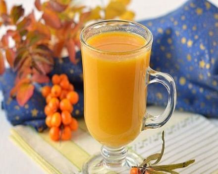 TOP 10 best recipes for sea buckthorn juice through a juicer at home for the winter, with and without boiling