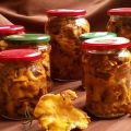 Eenvoudige stapsgewijze recepten om thuis ingelegde cantharellen voor de winter te maken