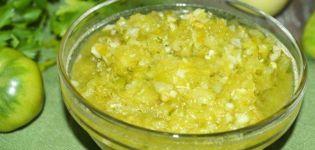 11 καλύτερες συνταγές για το μαγείρεμα πράσινων ντοματών για το χειμώνα στα adjika