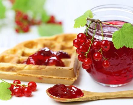 TOP 10 Rezepte für Marmelade mit roten Johannisbeeren für den Winter zu Hause