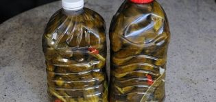 وصفات خطوة بخطوة للخيار المخلل في زجاجات بلاستيكية لفصل الشتاء والتخزين
