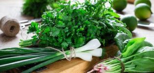 Recettes sur la façon de saler les légumes verts à la maison pour l'hiver dans des bocaux