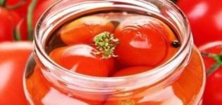 Las mejores recetas paso a paso de tomates en escabeche real para el invierno en casa.