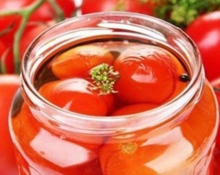 Geriausi karališkai marinuotų pomidorų receptai žiemai namuose