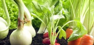Co je lepší zasadit vedle papriky ve skleníku a na otevřeném poli