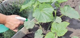 Insekticido Vertimek naudojimo instrukcijos agurkams nuo kenkėjų