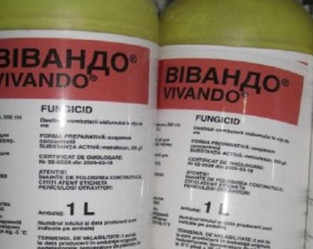 Hướng dẫn sử dụng thuốc diệt nấm Vivando, tỷ lệ tiêu thụ và các chất tương tự
