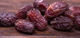 Description of varieties of royal dates, their useful properties and harm