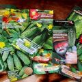 Geriausių agurkų sėklų aprašymas ir našiausių veislių įvertinimas 2020 m