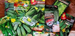 Description of the best cucumber seeds and rating of the most productive varieties for 2020