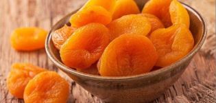 Methods for harvesting dried apricots and how to store at home