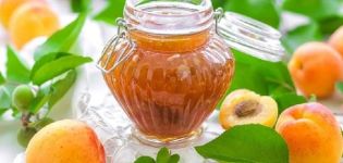 Jednoduchý recept na výrobu meruňkového džemu doma na zimu