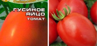 Beschrijving van de tomatensoort Ganzenei en zijn kenmerken