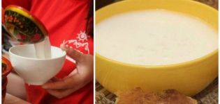 Sådan fremstilles kumis fra gedemælk derhjemme og holdbarhed