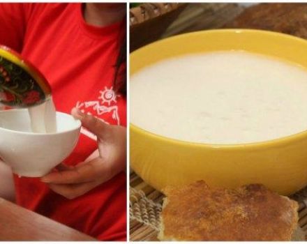 Hur man gör kumis från getmjölk hemma och hållbarhet