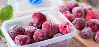 Milyen gyümölcsöket és bogyókat lehet fagyasztani otthon télen