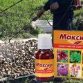 Norādījumi par fungicīda Maxim lietošanu un tā darbību