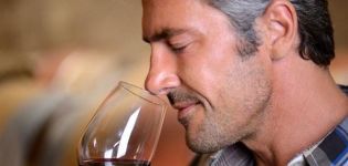 Dlaczego domowe wino pachnie zacier, jak usunąć zapach drożdży i metody czyszczenia